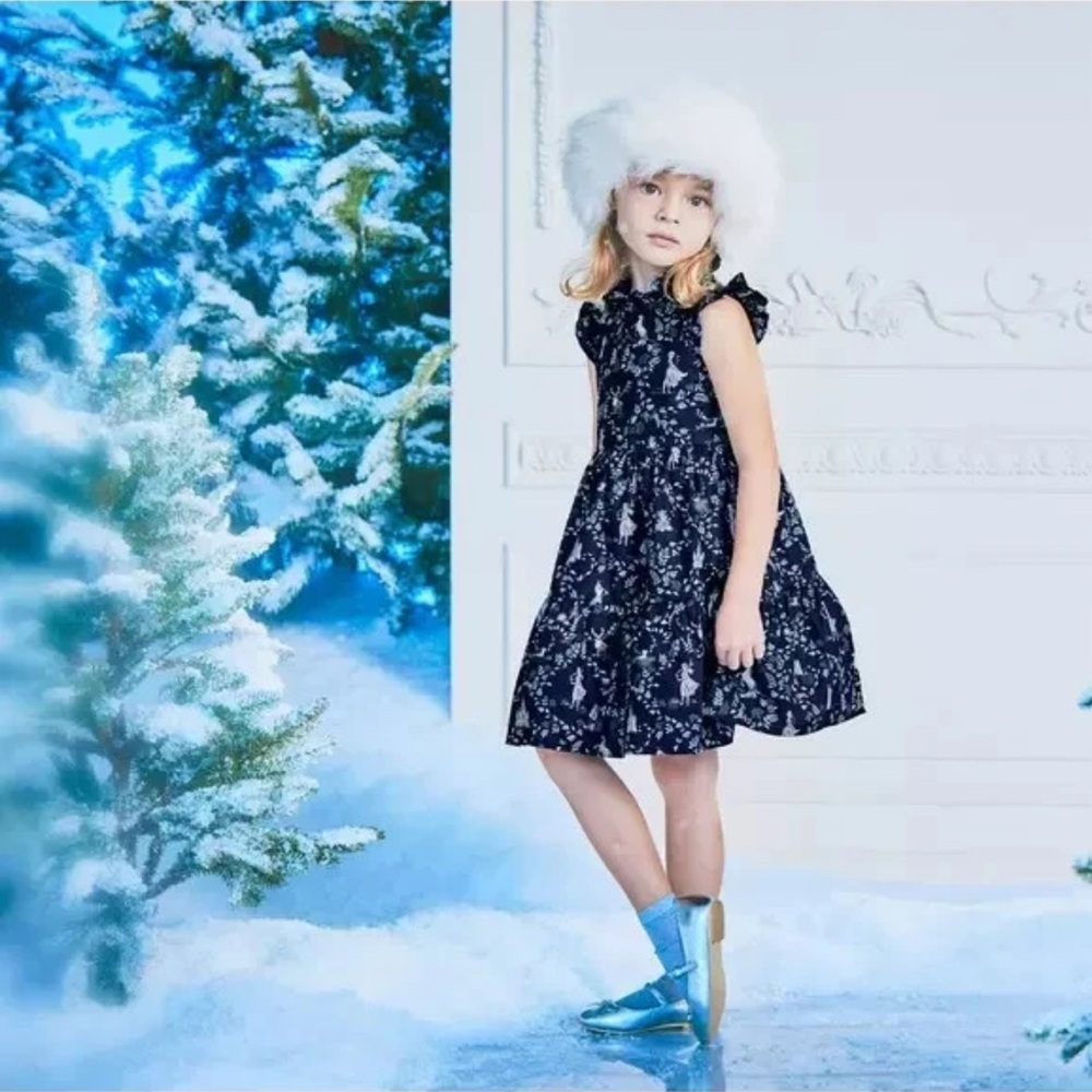 Janie and Jack Navy Floral Holiday Dress